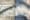 The Untold Saga of the Guy Who Defaced Alan Dershowitz’s Honorary Stone at the Brooklyn Botanic Garden