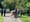 Adams Administration Sweeps Migrant Encampments on Randall's Island