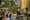 Elizabeth Street Garden Cheats Death (Again)