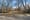 Will Cutting Down 78 Trees Ruin Fort Greene Park—or Save It?