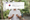Andrew Cuomo's Comeback Video Raised Over $100,000…For Zohran Mamdani