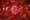 A section of a grapefruit resting atop shiny pink fabric