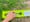 A largemouth bass is being measured on a neon-yellow Hawg Trough.