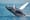 Humpback Whales Are Having Too Much Fun in NYC