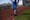 The Bizarre and Riveting Sport of Race-Walking in NYC