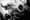 A close up of the Wall Street Bull in black and white.