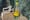 A bottle of Topo Chico.