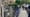 ‘Cat Guantanamo’: How Drama in NYC’s Cat Rescue Community Spiraled Out of Control