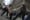 NYPD Settles the Last of the Big 2020 Protest Lawsuits With No Admission of Wrongdoing