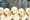 A row of gorgeous golden retriever puppies, against the background of a moving subway train.