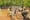 ‘Sexy’ Twins Are Haunting a UES Playground and the New York Post Is on the Case