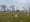 Grave markers on Hart Island.
