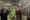 How ‘What’s Poppin?’ and ‘Subway Oracle’ Turn NYC Into TikTok’s Tinseltown